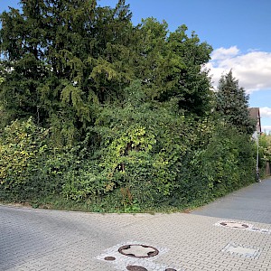 Baugrundstück in Eschborn