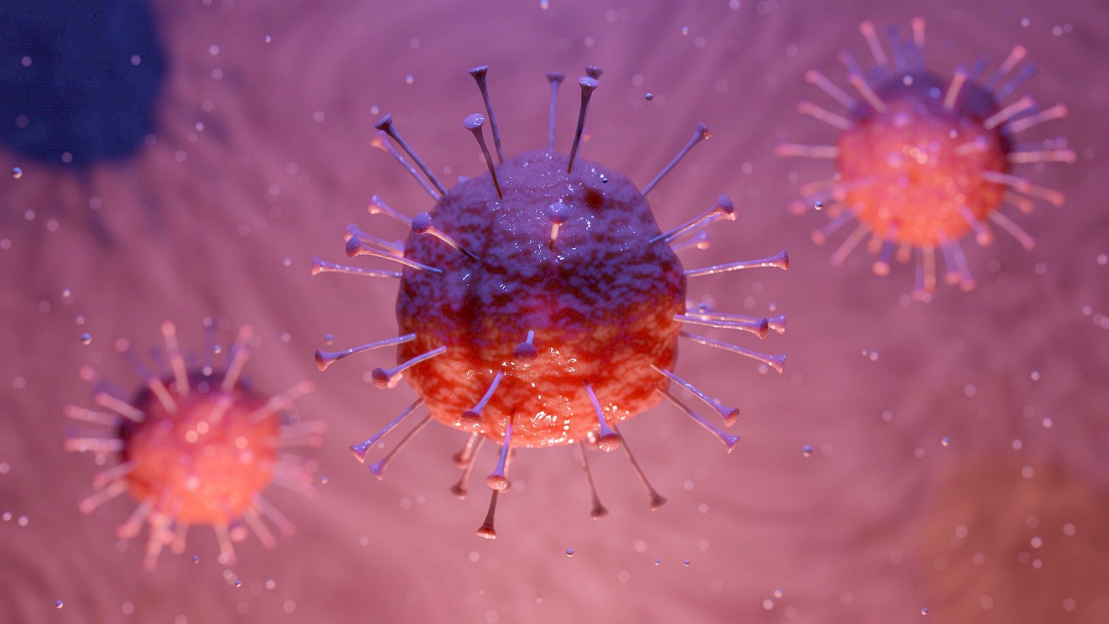 Wie lang überlebt das Coronavirus an Türgriffen? Wie geht es weiter?