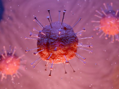 Wie lang überlebt das Coronavirus an Türgriffen? Wie geht es weiter?